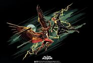 Hawkman vs Black Adam promo art