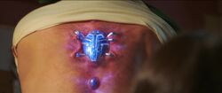 Scarab bonded to Jaime