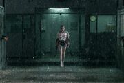 Birds of Prey - Harley Quinn - in rain