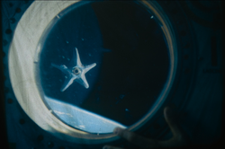 Starry-discovery