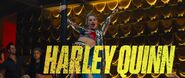 Harley Quinn Trailer Name Flash