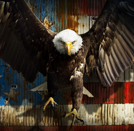 TV's Peacemaker - Eagly