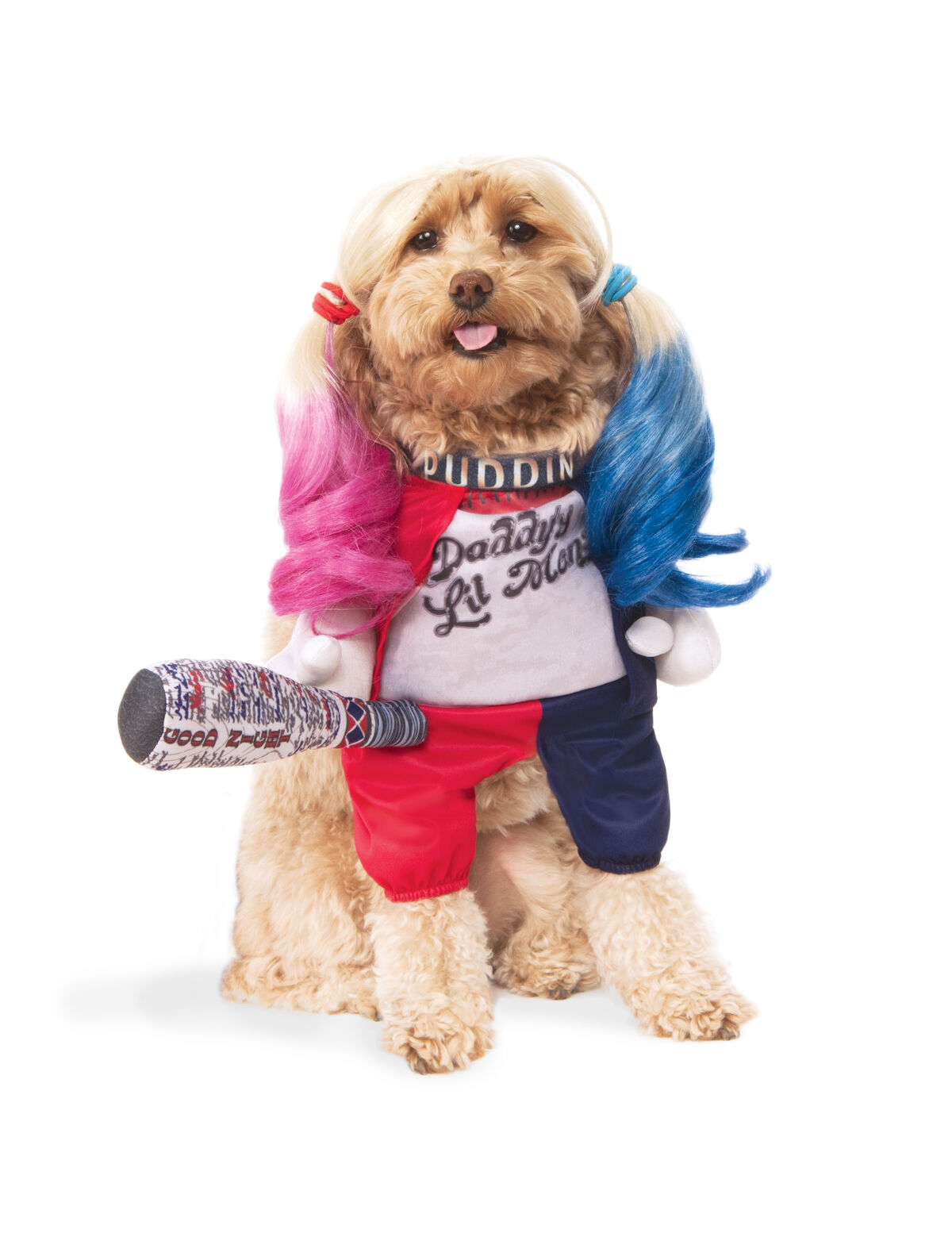 Dc Pets Craigslist - b6f9jyi