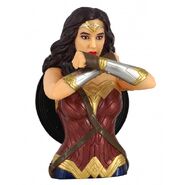 Bank Monogram JL Wonder Woman