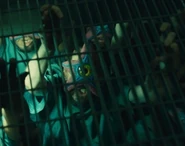 Star-Crossed Man.png (542 KB) Randy Havens as Star-Crossed Man