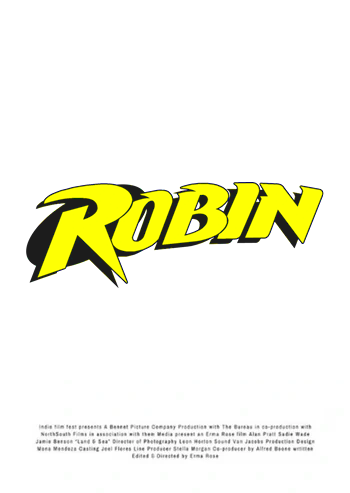 Robin | DCEU Remastered Wiki | Fandom