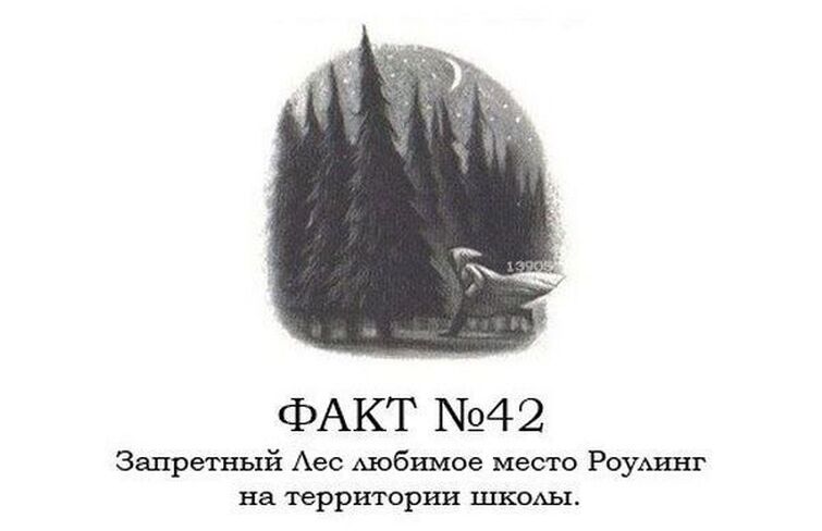 Поттер факты. Интересные факты о Хогвартсе. Факты о Гарри Поттере. 10 Фактов о Гарри Поттере. Интересные факты о Гарри Поттере от Джоан Роулинг.