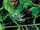 John Stewart (DC Universe)