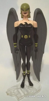 Hawkgirl ver 5