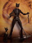 ☐ Catwoman (DC Universe)