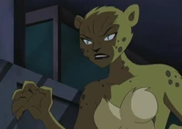Cheetah (JLU)
