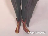 Hawkgirl ver 4