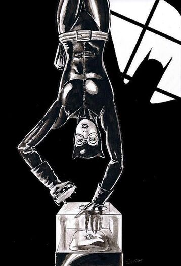 Catwoman Thief by craigcermak