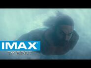 Justice League IMAX® Exclusive TV Spot