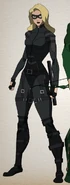 Black Canary as she appears in the web series Vixen.