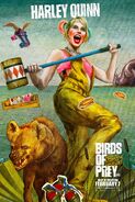 Birds of Prey Character Posters 01