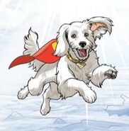 Krypto the Superdog