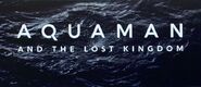 Aquaman and the Lost Kingdom logo IG