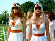 Amazons from the Hornverse.