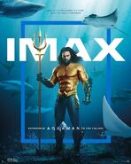 Aquaman IMAX Poster