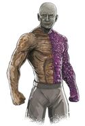 Metamorpho