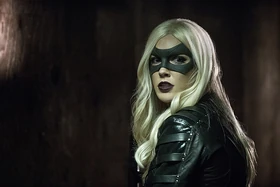 Laurel Canary
