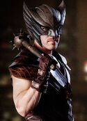 Hawkman portrayed by Falk Hentschel in the Arrowverse.