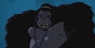 Gorilla Grodd voiced by Brian George in the Superman/Batman film series.