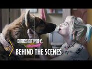 Birds of Prey - Wild Nerds- Visual Effects on Birds of Prey - Warner Bros