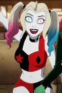 Harley Quinn voiced by Kaley Cuoco in Harley Quinn.
