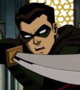 Robin voiced by Zach Callison in the Injustice film.