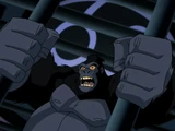 Grodd (DC Animated Universe)