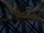 Man-Bats