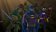 Batman vs. tmnt group