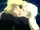 Green Arrow and Black Canry DCS.png