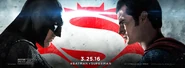 Faceoff Batman v Superman banner.jpeg (55 KB)