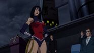 Wonder Woman suit from in the DC Animated Film Universe.