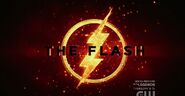 The Flash Logo