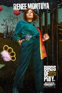 Birds of Prey Character Posters 04