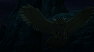 Beast Boy as a Owl