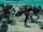 Amazons-1.png