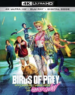 Birds of Prey (film), Batman Wiki