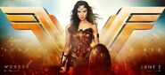 Wonder Woman banner