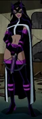 Huntress voiced by Amy Acker in the DC Animated Universe.