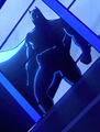 Batman Bruce Wayne