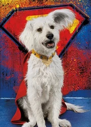 Krypto the Superdog (SG)