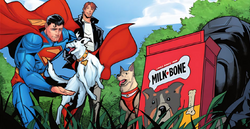 Superman and Krypto take the scientist and Matty to relax in the park