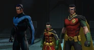 Robins2.jpg (247 KB)