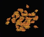 Rustled Pile of Autumn Leaves