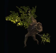 Wall-Mounted Oak Branch.png (78 KB)